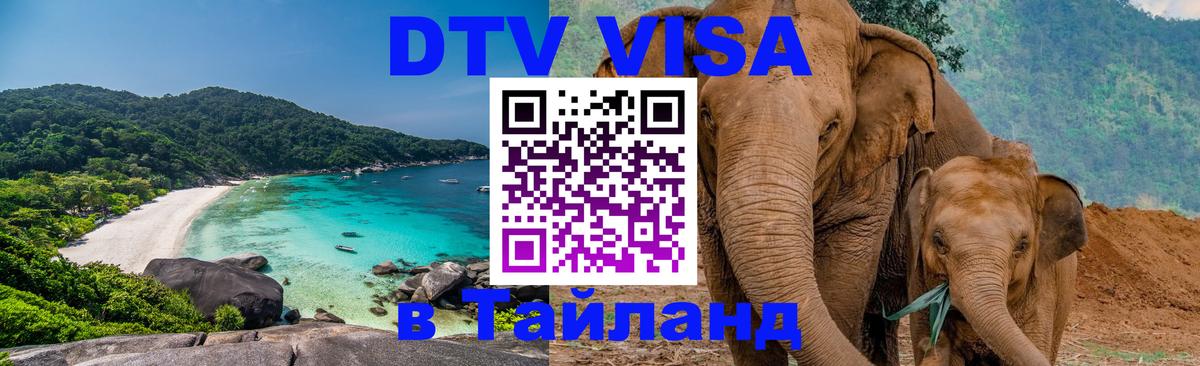 Оформить DTV визу в Тайланд 